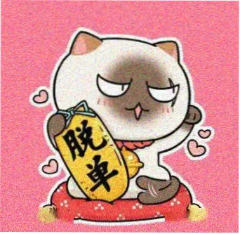 用户 南岸晚风 的头像